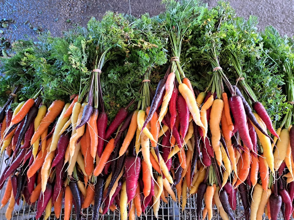 Simple Riches Organic Farm | 503781, Grey Rd 12, Markdale, ON N0C 1H0, Canada | Phone: (226) 568-1403