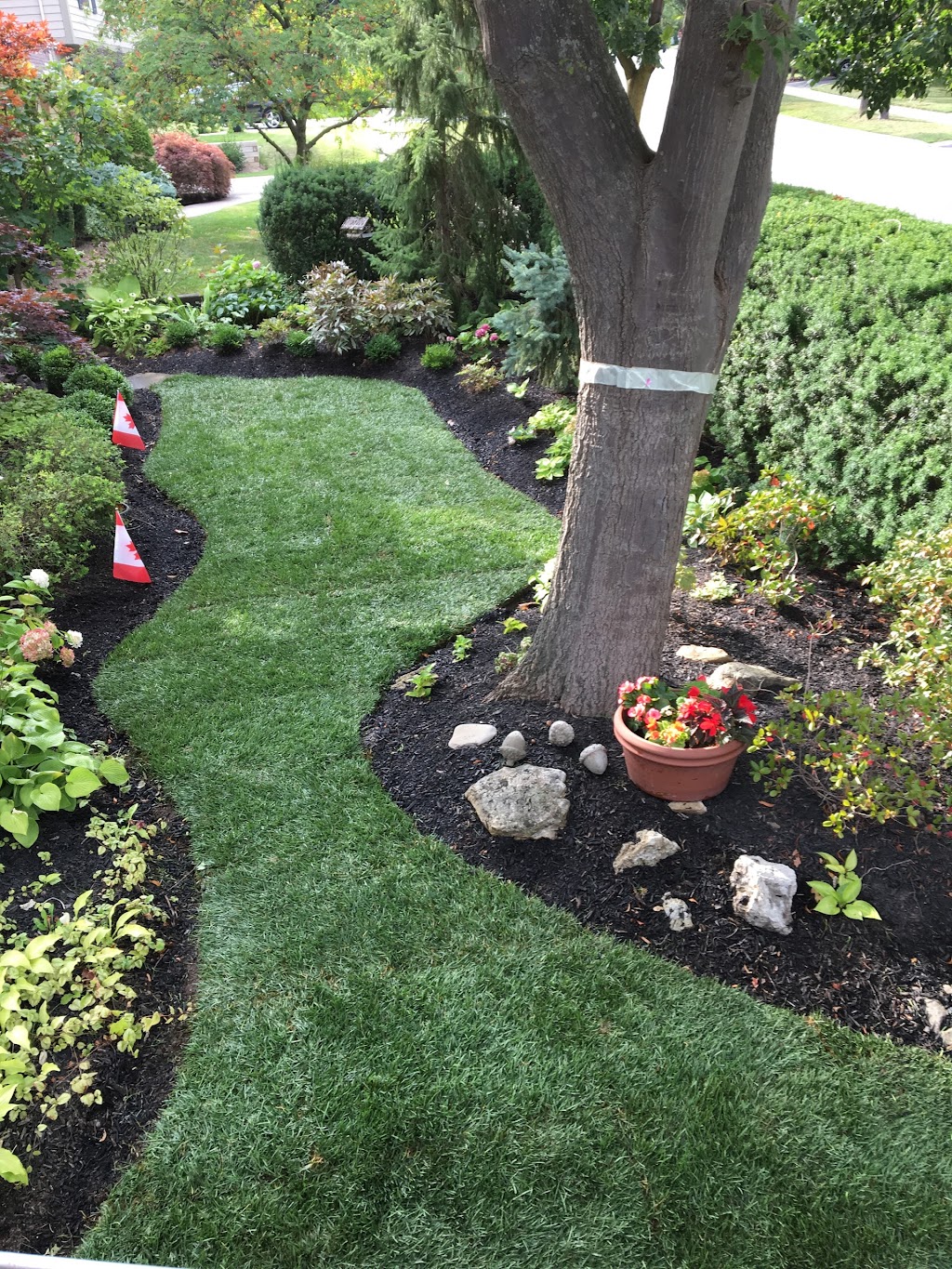 Ash Creek Property Maintenance & Landscaping | 79 Hazelton Ave, Hamilton, ON L9B 0E9, Canada | Phone: (289) 921-8400