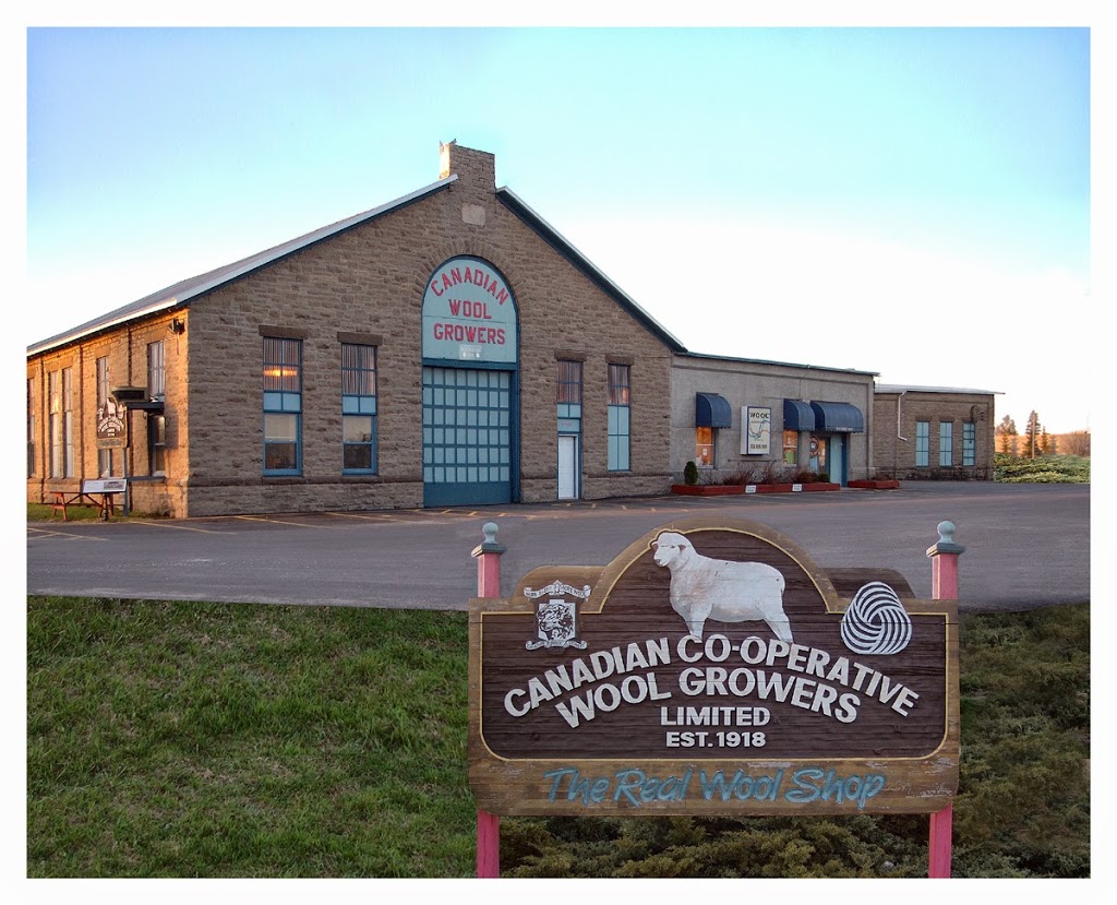 Real Wool Shop | 142 Franktown Rd, Carleton Place, ON K7C 3P3, Canada | Phone: (613) 257-2714 ext. 6