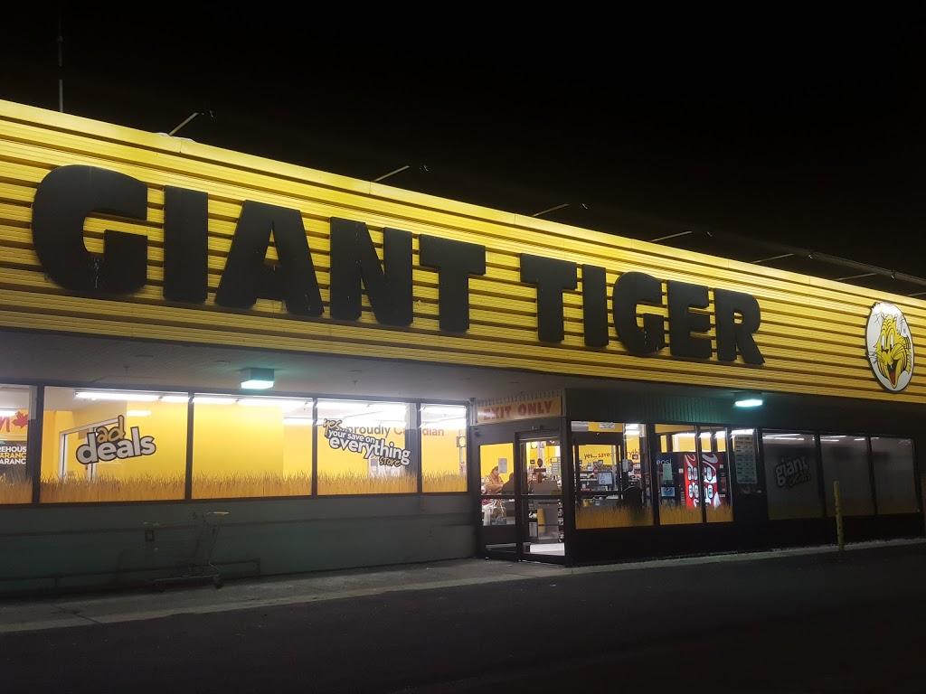 Giant Tiger | clothing store | 351 Margaret Ave, Kitchener, ON N2H 4J6, Canada | 5197429545 OR +1 519-742-9545