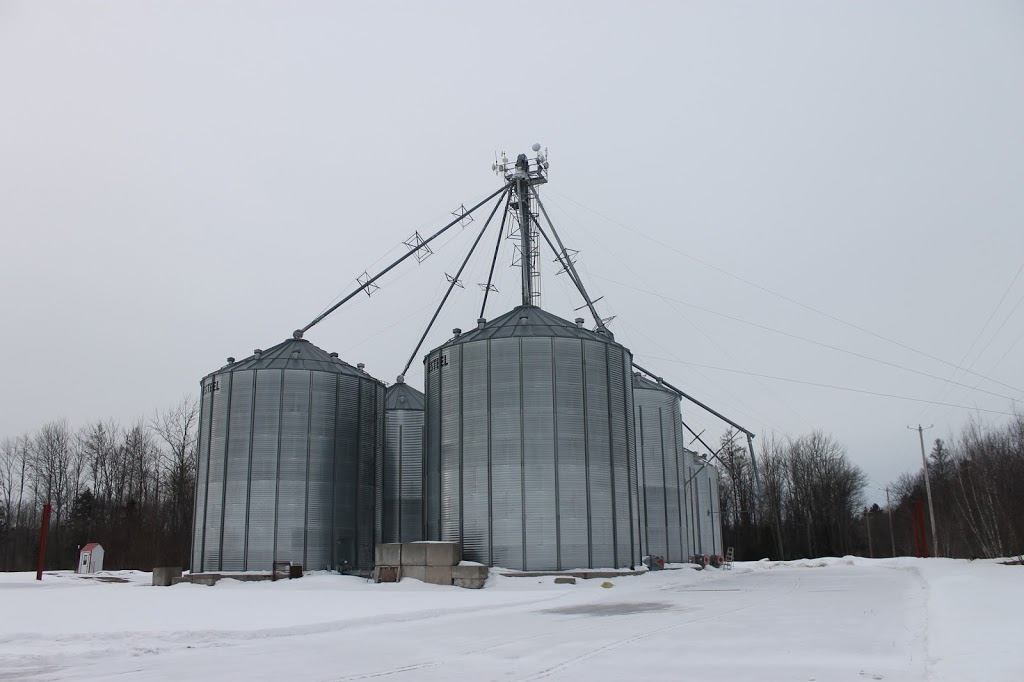 Centre de Grains Tricklinie Inc | 795 Rue Laurier, Lyster, QC G0S 1V0, Canada | Phone: (819) 998-0994