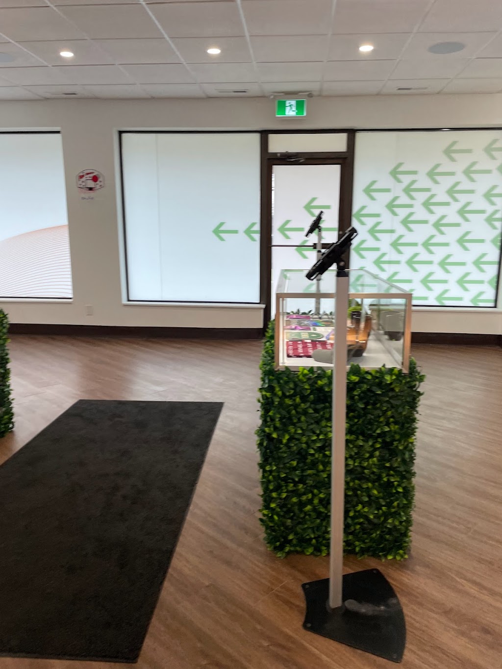 Elevated Minds Cannabis | 570 Hwy 8 Unit 2, Stoney Creek, ON L8G 4M2, Canada | Phone: (905) 930-8511