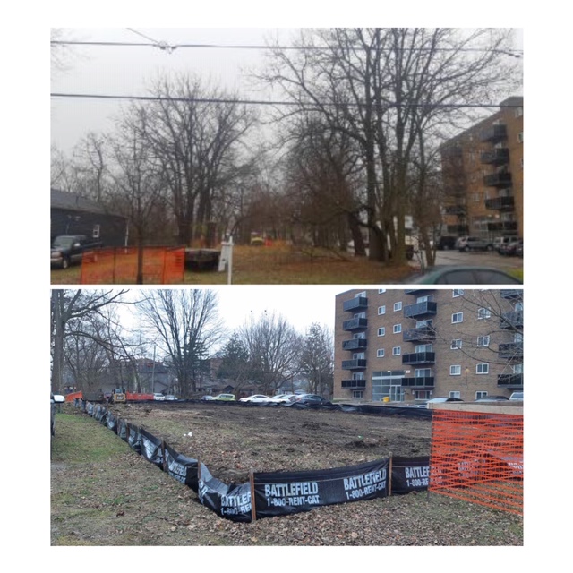 Beaver Brook Forestry & Contracting | 34903 Salem Rd, Parkhill, ON N0M 2K0, Canada | Phone: (519) 280-5087
