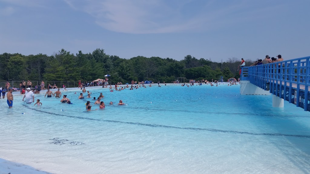 Byng Island Conservation Area | 4969 County Road 20, Dunnville, ON N1A 2W8, Canada | Phone: (905) 774-5755