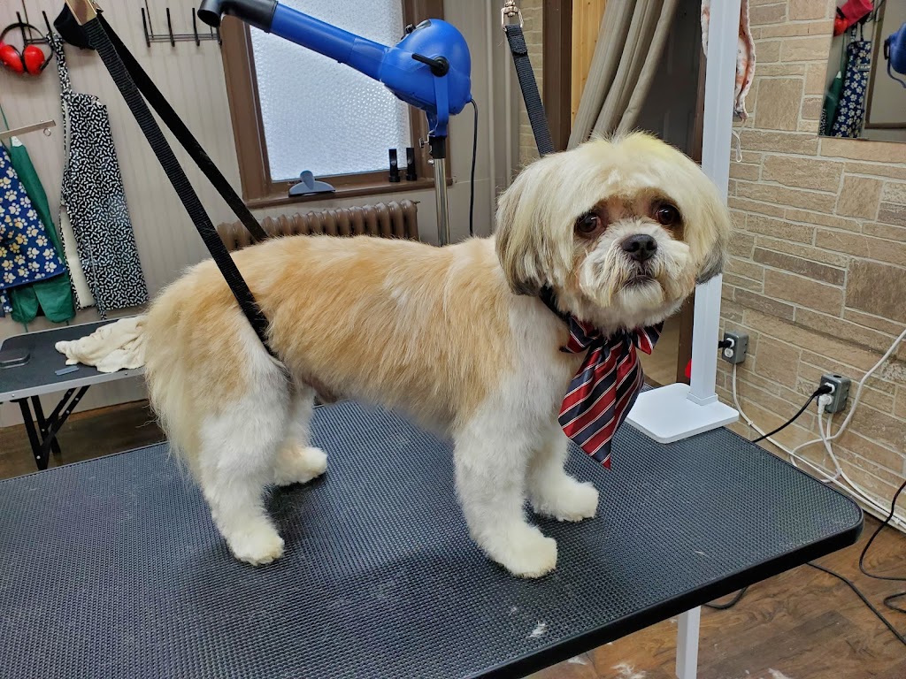 Fluff & Stuff Dog Grooming | 81 Talbot St E, Aylmer, ON N5H 1H3, Canada | Phone: (519) 639-6575