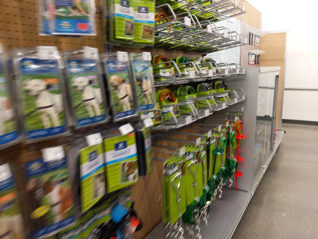 PetSmart | 240 Leighland Ave Suite M7, Oakville, ON L6H 3H6, Canada | Phone: (905) 845-7518