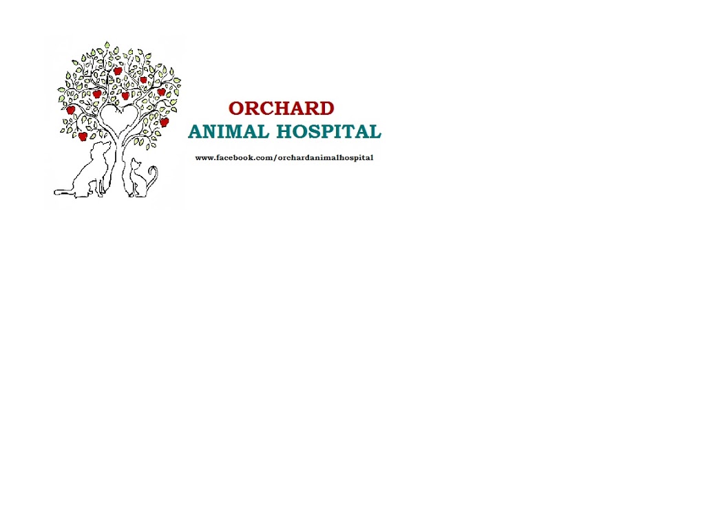 Orchard Animal Hospital | 2020 Appleby Line, Burlington, ON L7L 6M6, Canada | Phone: (905) 634-4526