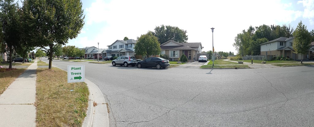 Talltree Park - West | Argyle, London, ON N5V 4V4, Canada | Phone: (519) 661-2489