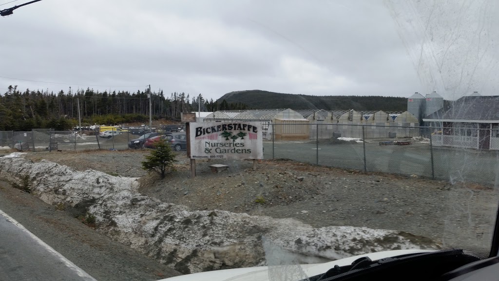 Bickerstaffe Nurseries & Gardens | 131 Witch Hazel Rd, Portugal Cove-St. Philips, NL A1M 3N3, Canada | Phone: (709) 895-3701