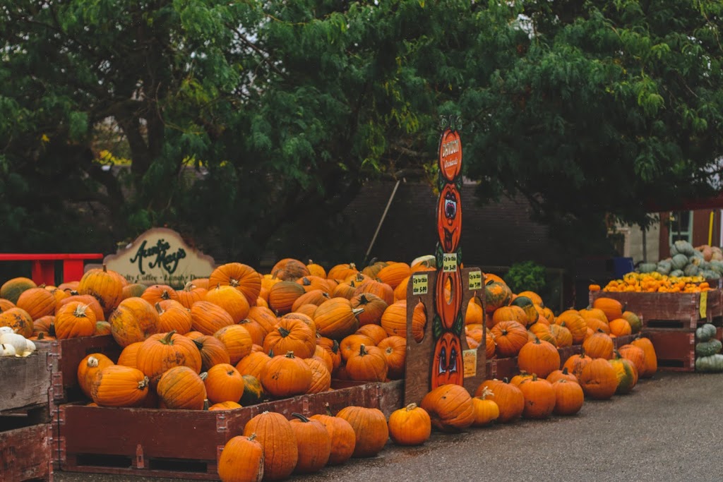 Davison Orchards Country Village | 3111 Davison Rd, Vernon, BC V1H 1A2, Canada | Phone: (250) 549-3266