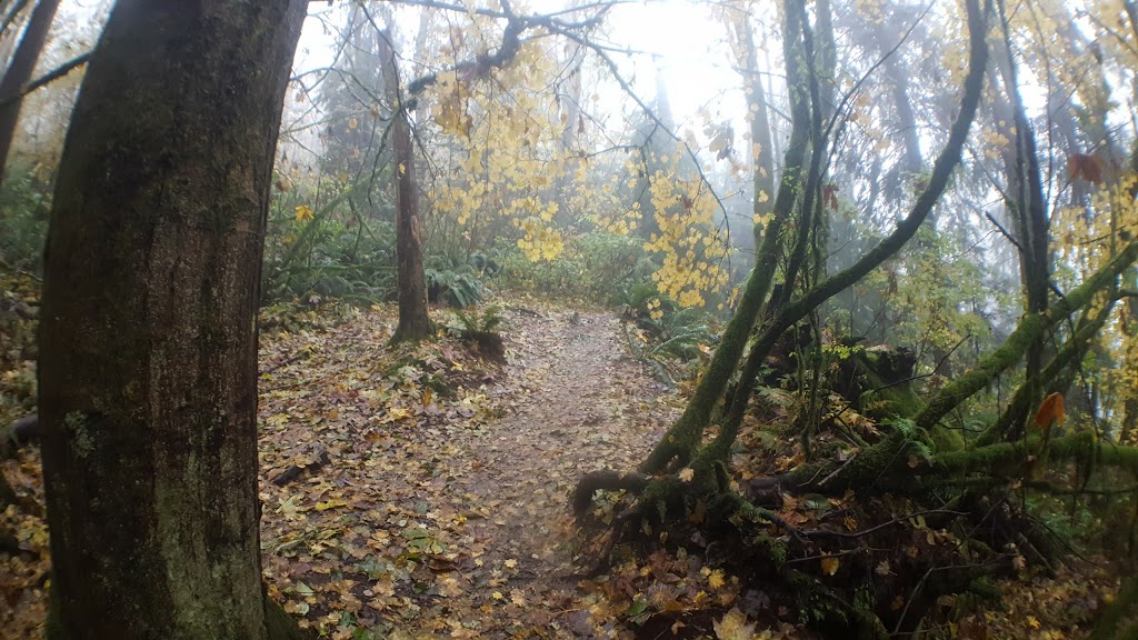 Burnaby Mountain Biking and Hiking Trails | University Dr E, Burnaby, BC V5A 4Y8, Canada | Phone: (604) 294-7944