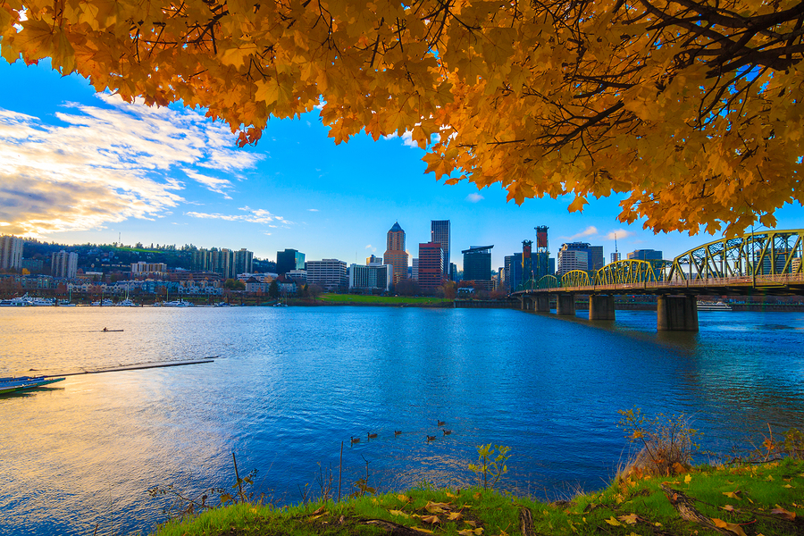 Red Cherry Web Design - Website Development Company | 7 Coachwood Pl SW, Calgary, AB T3H 1E1, Canada | Phone: (888) 401-6668