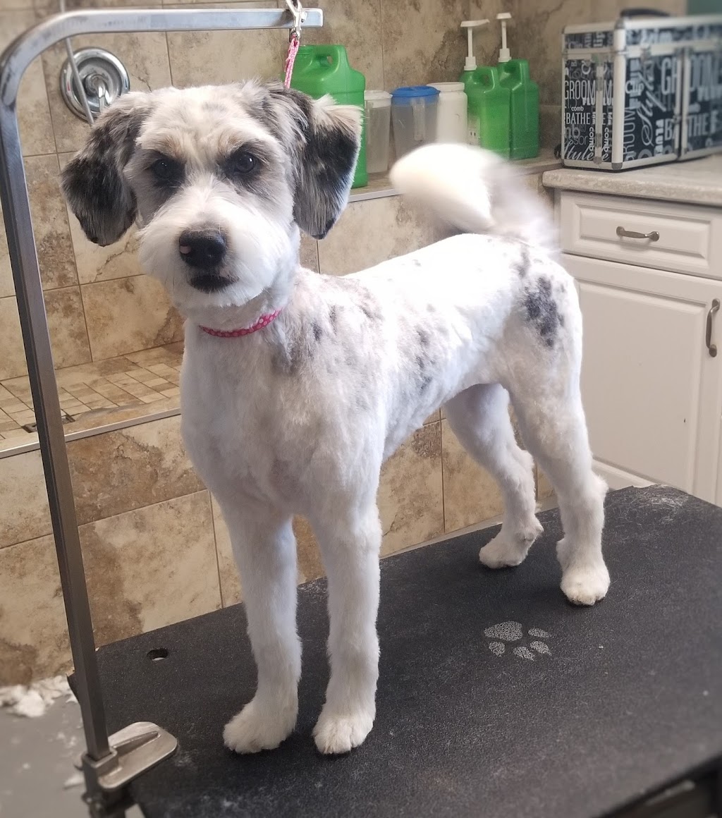 Ruffs and Tufts Pet Grooming | 11 Burtch Rd, Mount Pleasant, ON N0E 1K0, Canada | Phone: (519) 774-0917