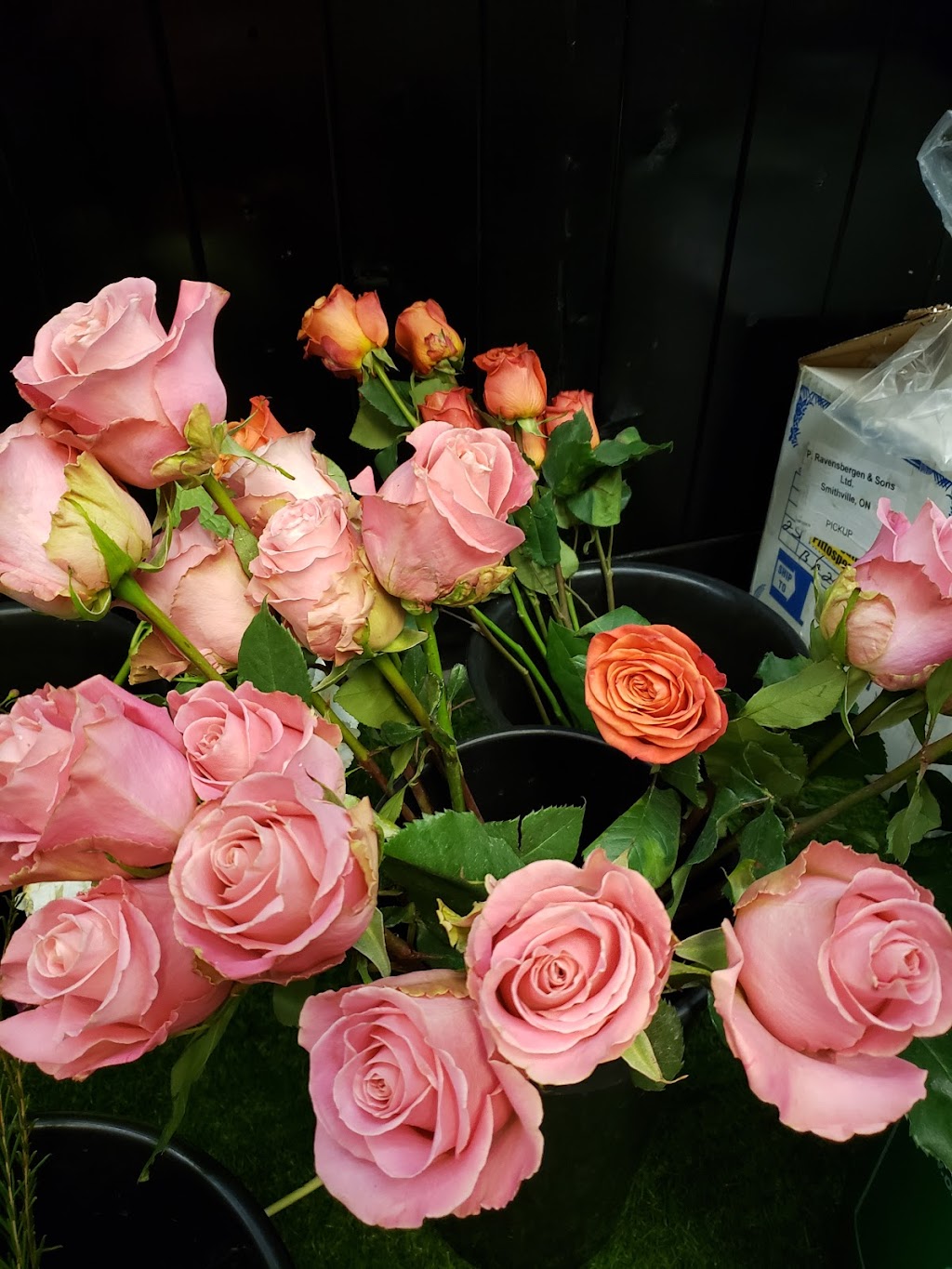 The Bloom Room Floral Company | 7767 Wellington Rd 124, Guelph, ON N1H 6H7, Canada | Phone: (519) 546-4548