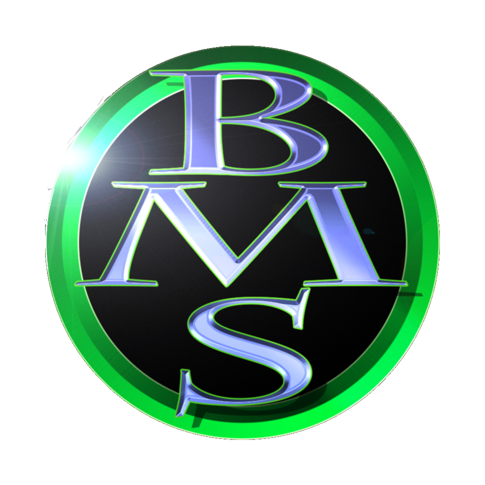 BMS Video Creation Service For Your Marketing Needs | 658 Dolly Bird Ln, Mississauga, ON L5W 1G8, Canada | Phone: (416) 885-4194