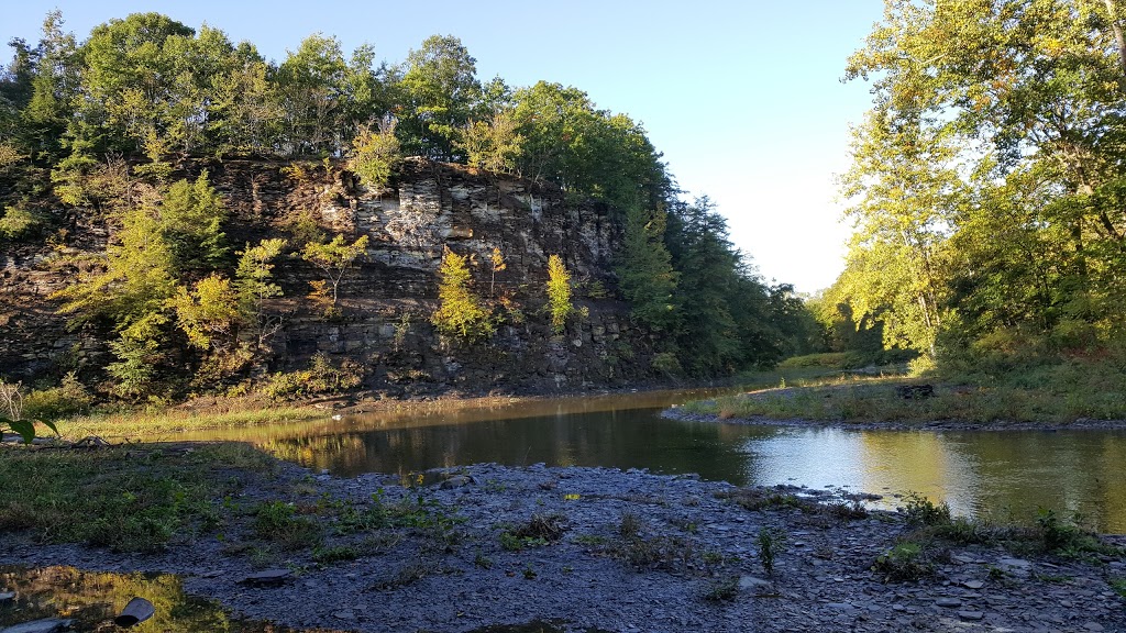 18 Mile Creek Park | 2600-2772 S Creek Rd, Hamburg, NY 14075, USA