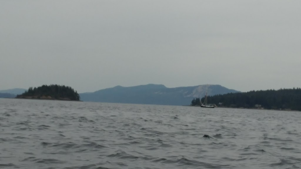 Willis Point Dive Site | Mark Ln, Victoria, BC V9E 2A1, Canada