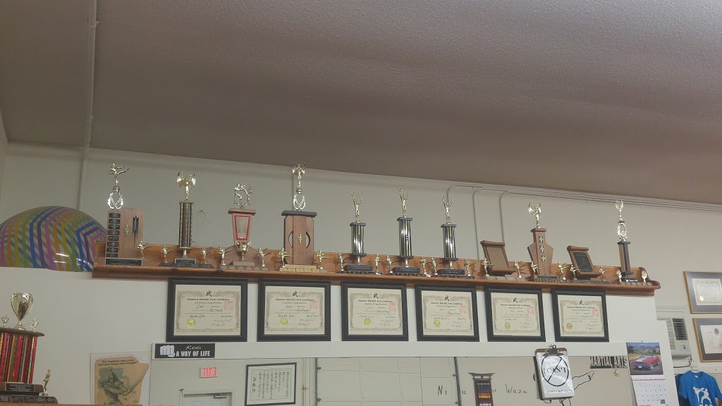 Napanee Karate Club | 140 Richmond Blvd, Napanee, ON K7R 3Z7, Canada | Phone: (613) 354-0506
