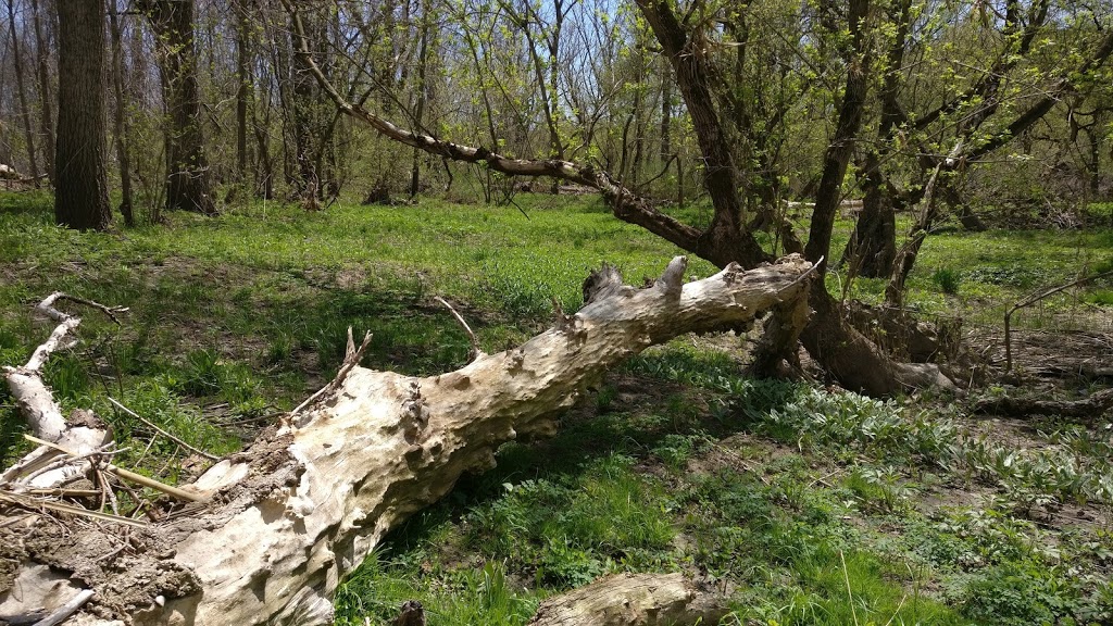 Big Bend Conservation Area | 21239 Big Bend Rd, Southwest Middlesex, ON N0L, Canada | Phone: (519) 264-2420