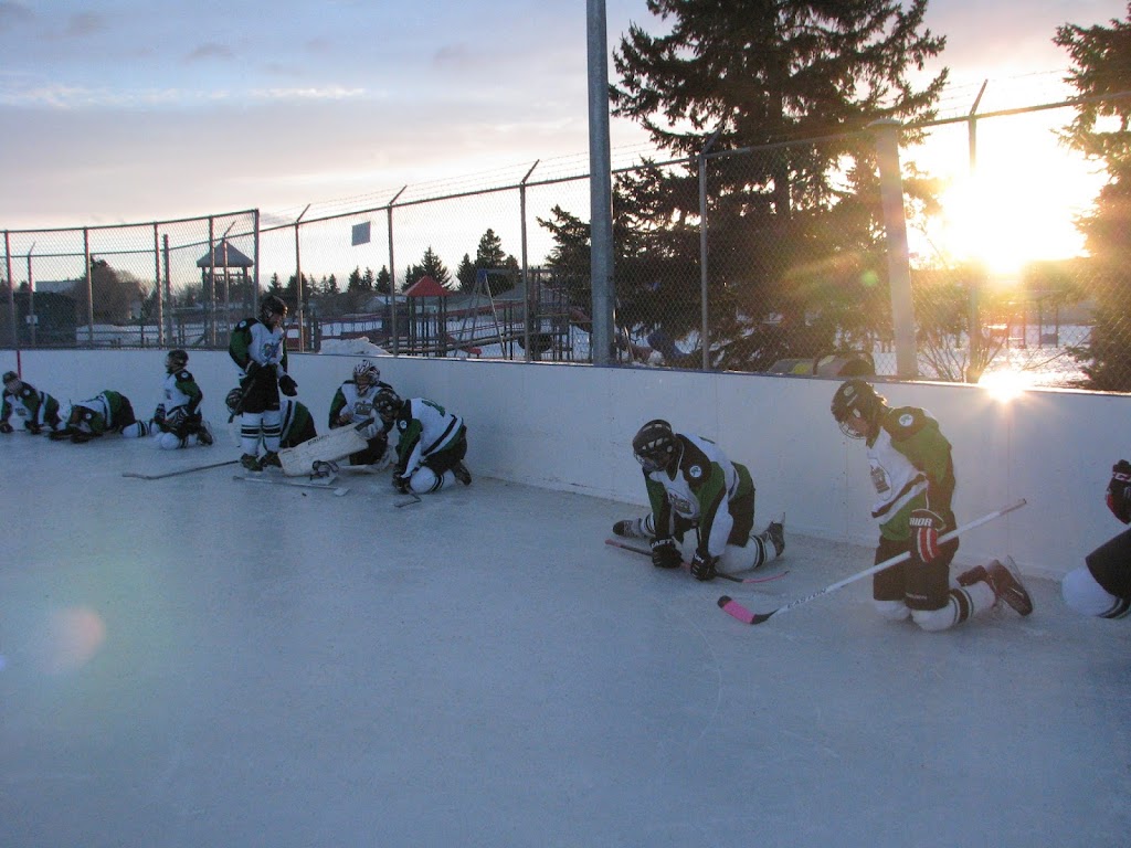Perfect Hockey | 18 Park Ridge Crescent NW, Edmonton, AB T6P 1E9, Canada | Phone: (780) 231-1040