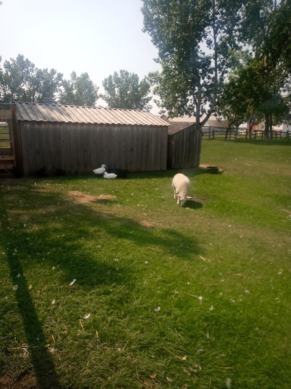 Burnside Ranch House | 84 Heritage Park, Calgary, AB T2V 1R1, Canada | Phone: (403) 268-8500