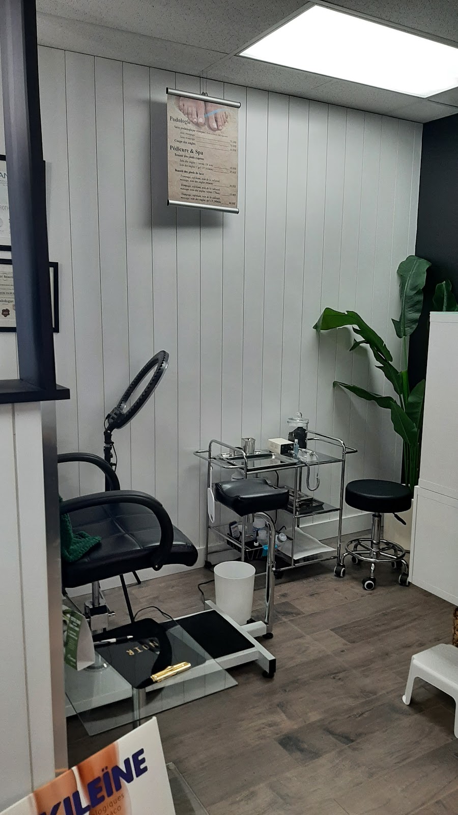 Salon dEliza & Co. | 2675 Rue Dessaulles, Saint-Hyacinthe, QC J2S 2V4, Canada | Phone: (450) 888-2826