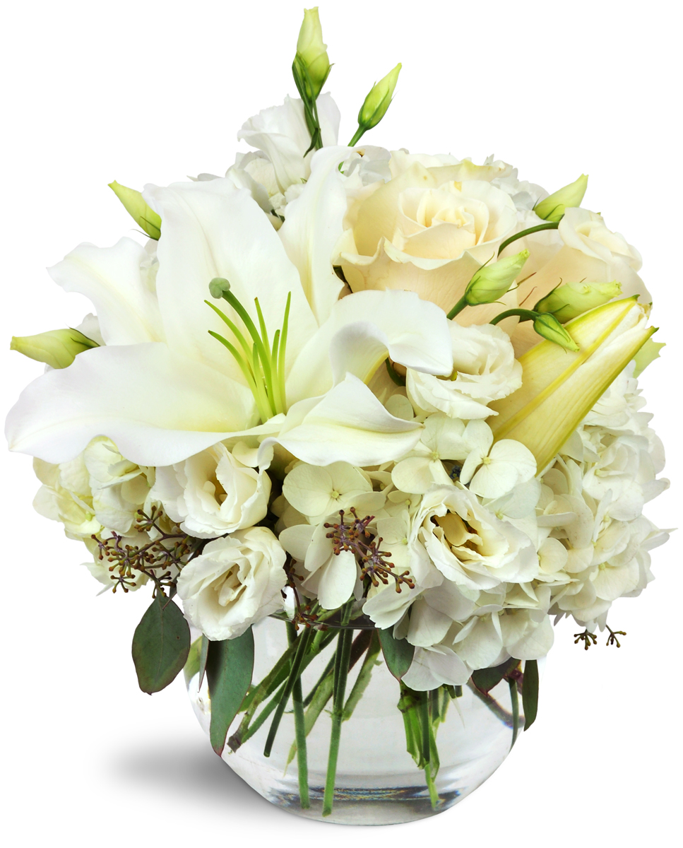 Church Street Flowers | 19565 Opeongo Line, Barrys Bay, ON K0J 1B0, Canada | Phone: (833) 977-3377