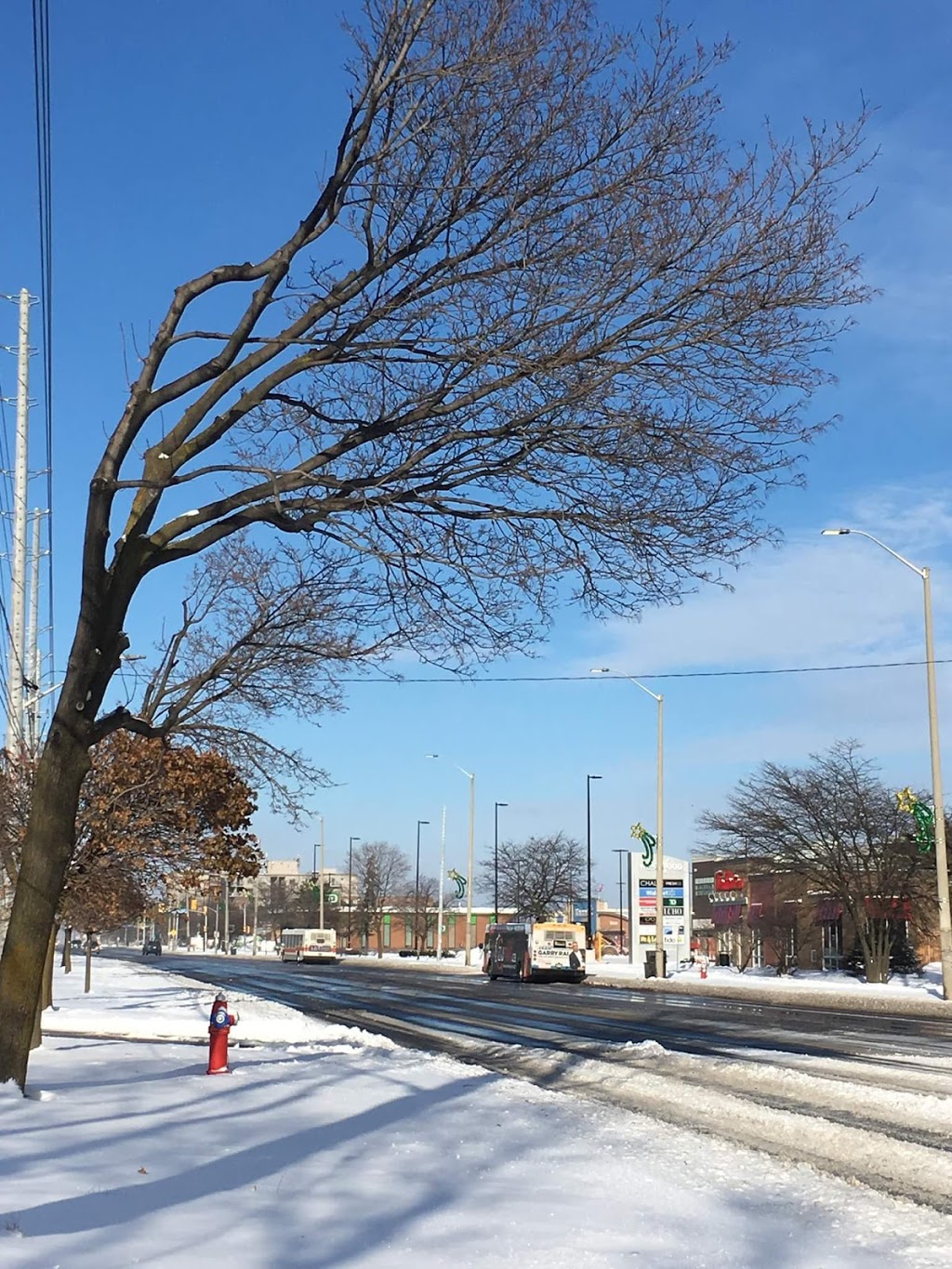 Malton Library | 3540 Morning Star Dr, Mississauga, ON L4T 1Y2, Canada | Phone: (905) 615-4640