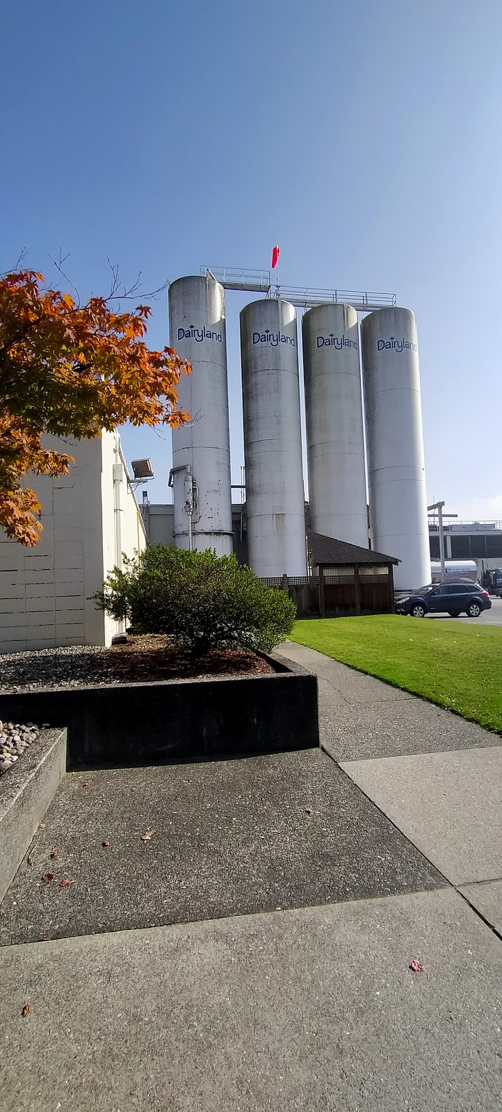Saputo Dairy Products Canada | 1889 Kingsway Ave, Port Coquitlam, BC V3C 1T1, Canada | Phone: (604) 420-6611