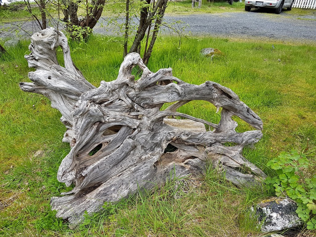 Danuta Rogula Art Gallery | Sea-to-Sky Hwy #3, Britannia Beach, BC V0N 1J0, Canada | Phone: (604) 896-2322