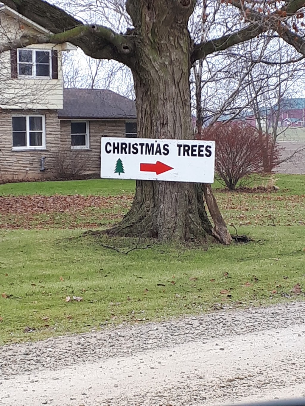 Vanderklooster Christmas Trees | 424847 Substation Rd, Burgessville, ON N0J 1C0, Canada | Phone: (519) 535-0215
