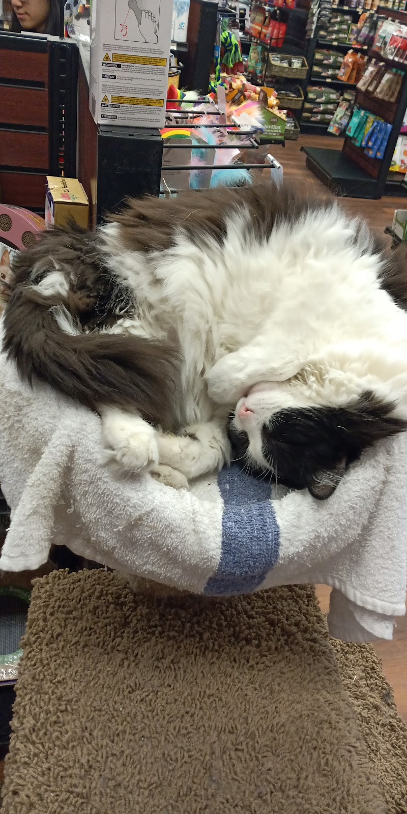 Pet Valu | 720 Center St #D2, Thornhill, ON L4J 0A7, Canada | Phone: (905) 881-0396