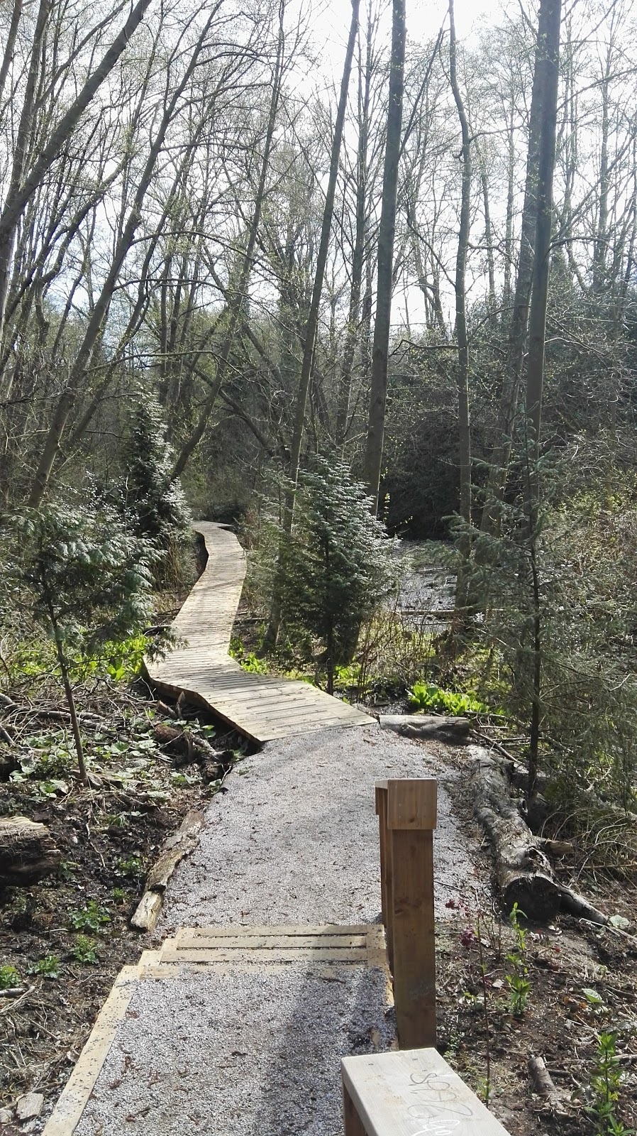 Renfrew Ravine Park | 3900 Renfrew St, Vancouver, BC V5M 2Y2, Canada | Phone: (604) 873-7000