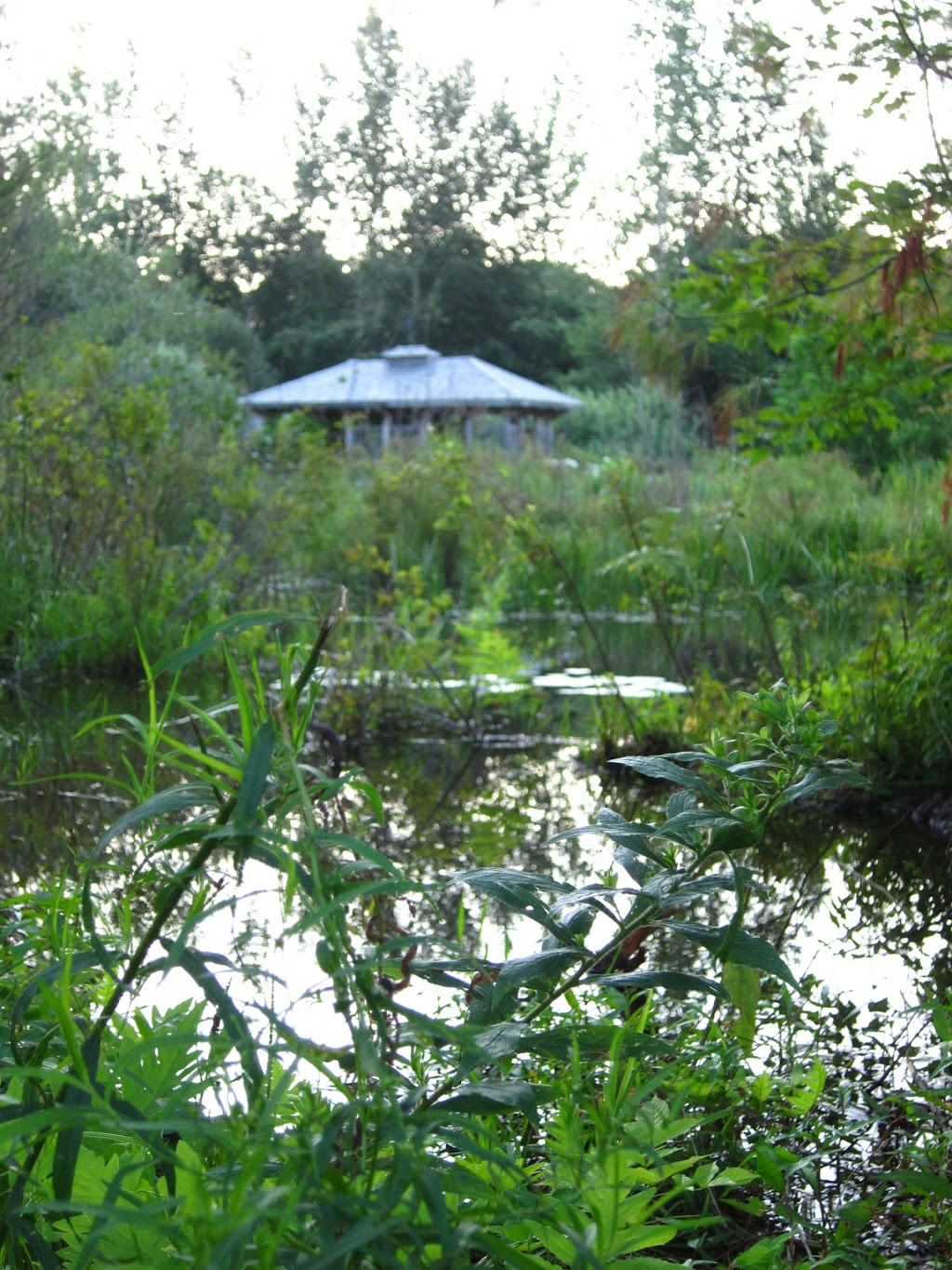 Windhorse Farm | 129 Sarty Rd, Wentzells Lake, NS B4V 4J6, Canada | Phone: (902) 543-6955