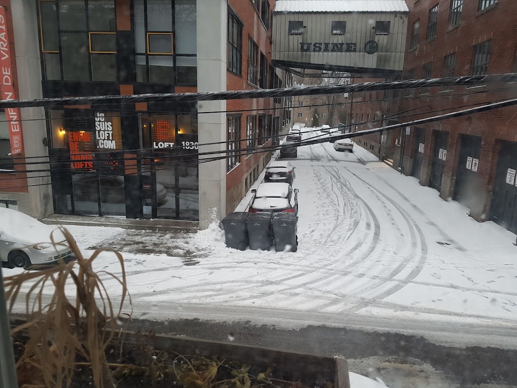 Theatre De Quartier | 1908 Rue Panet, Montréal, QC H2L 3A2, Canada | Phone: (514) 528-7336