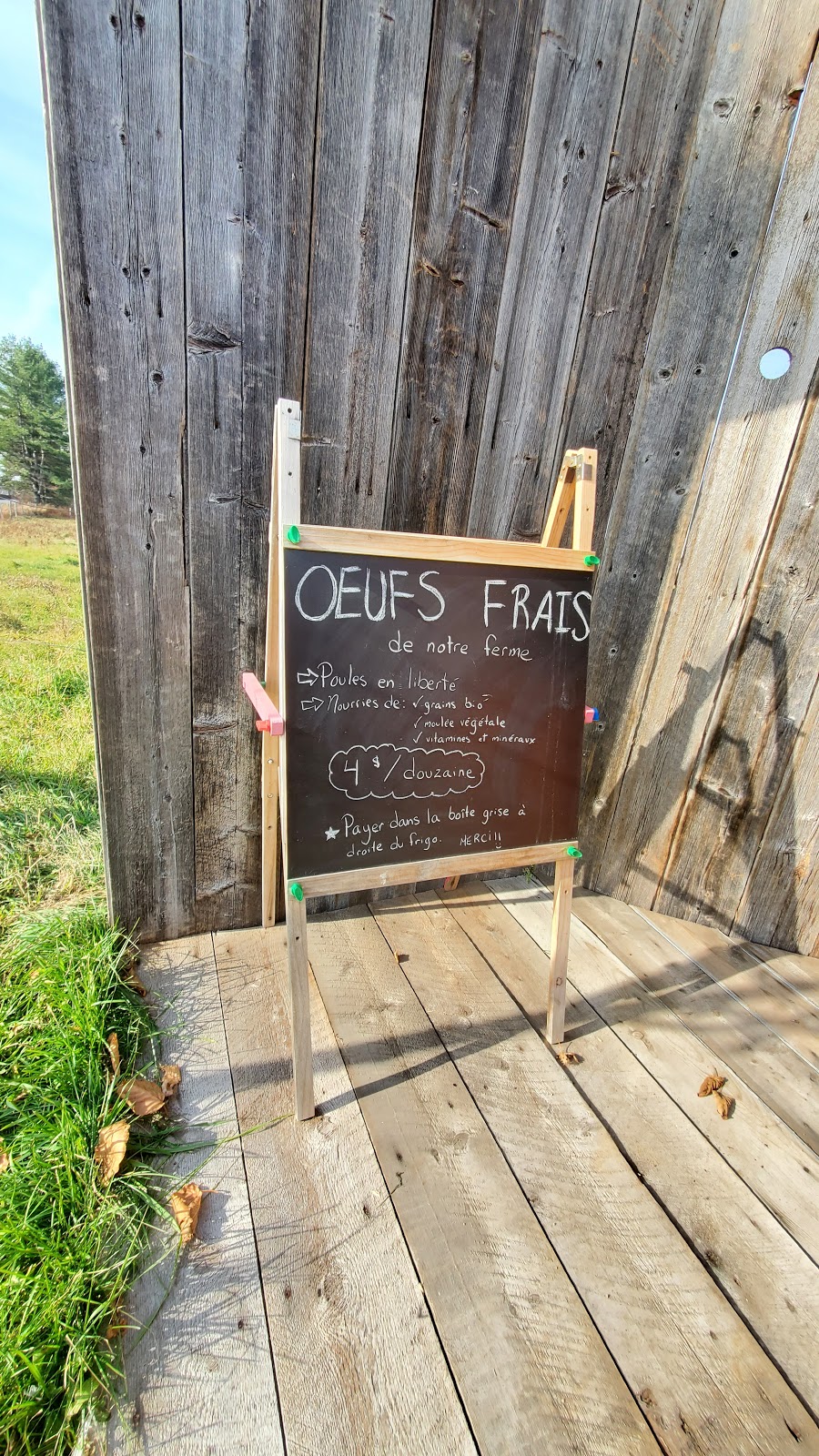 À lHERBE! bouvillons de pâturage | 701 Chemin du Bois de lAil, Pont-Rouge, QC G3H 2G8, Canada | Phone: (418) 285-7784