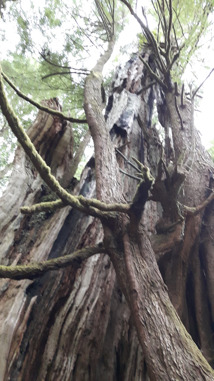 Parks Canada | Bamfield, BC V0R 1B0, Canada | Phone: (250) 728-3244