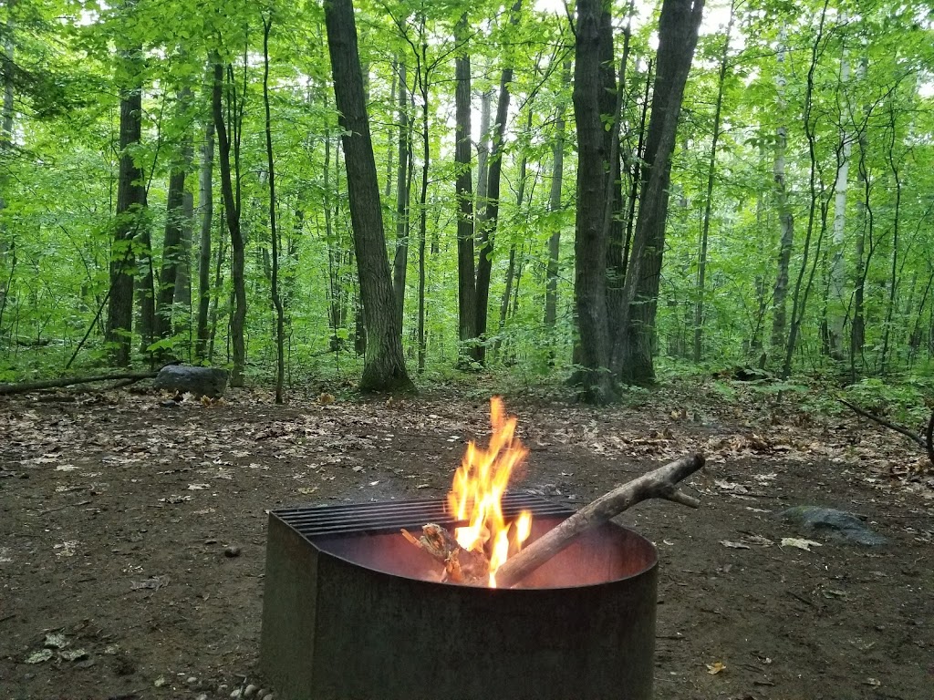 Snake Campground | Tiny, ON L9M 1R2, Canada | Phone: (705) 549-2231