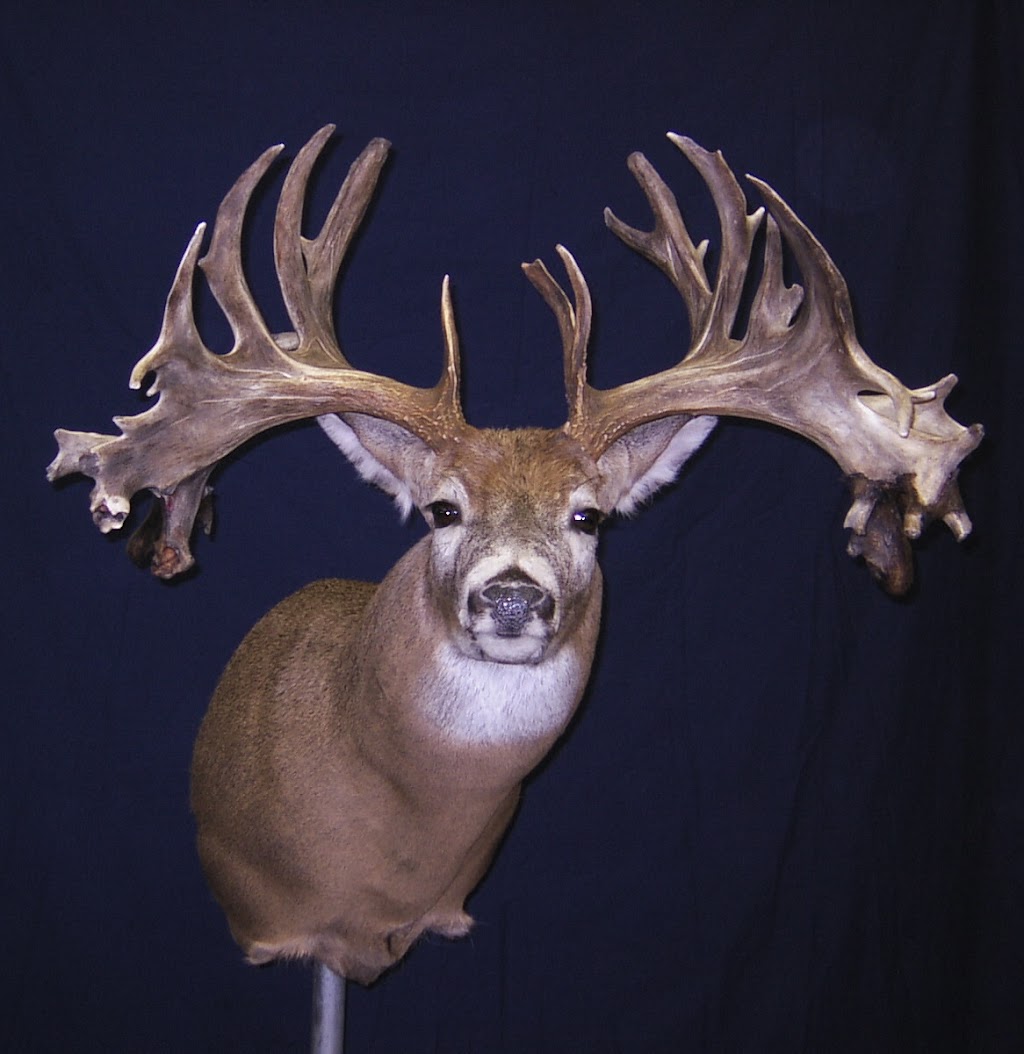 Extreme Taxidermy | 10379 109 Ave, Westlock, AB T7P 1G8, Canada | Phone: (780) 349-5412