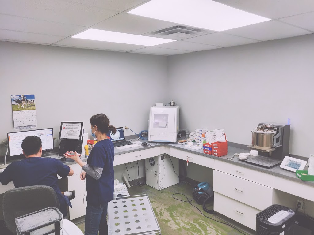 Pleasantview Dental Art Ltd. | 11810 124 St #201, Edmonton, AB T5L 0M3, Canada | Phone: (780) 989-3483