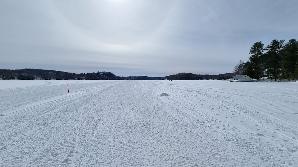 Muskoka Wild | Clearwater Lake Rd, Huntsville, ON P0B 1L0, Canada | Phone: (905) 379-5842