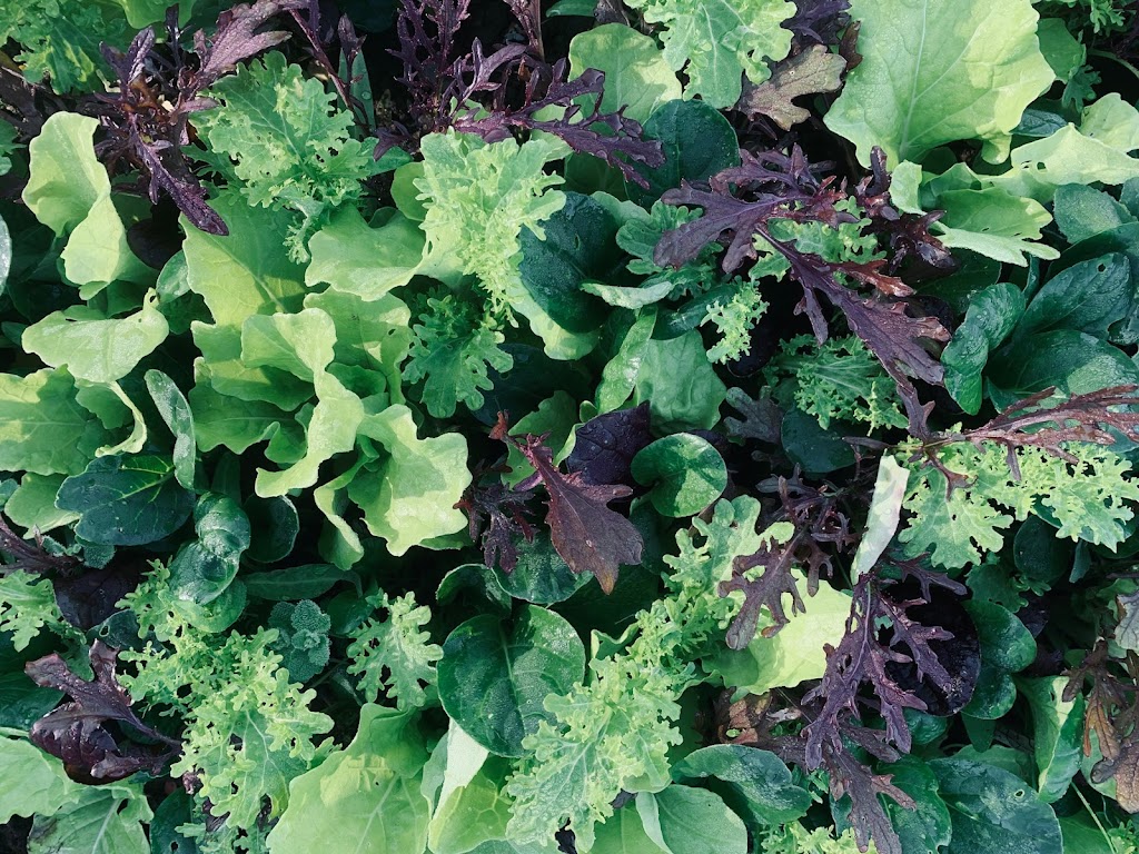 Fuller Farm Organics | 741 Haliburton Rd, Victoria, BC V8Y 1H7, Canada | Phone: (867) 334-3770