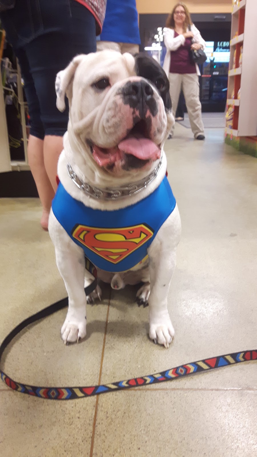 PetSmart | 7481 Oakwood Dr, Niagara Falls, ON L2E 6S5, Canada | Phone: (905) 374-3050