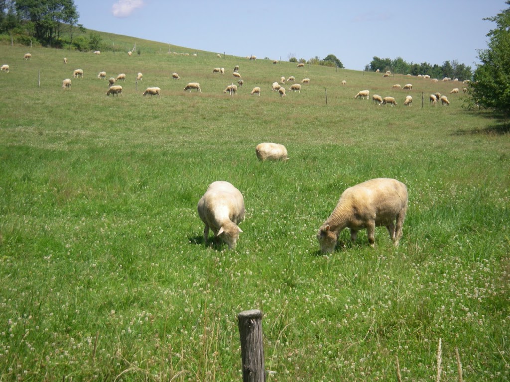 Sentier des Trotteurs | 1425 QC-263, Sainte-Hélène-de-Chester, QC G0P 1H0, Canada | Phone: (819) 604-7651