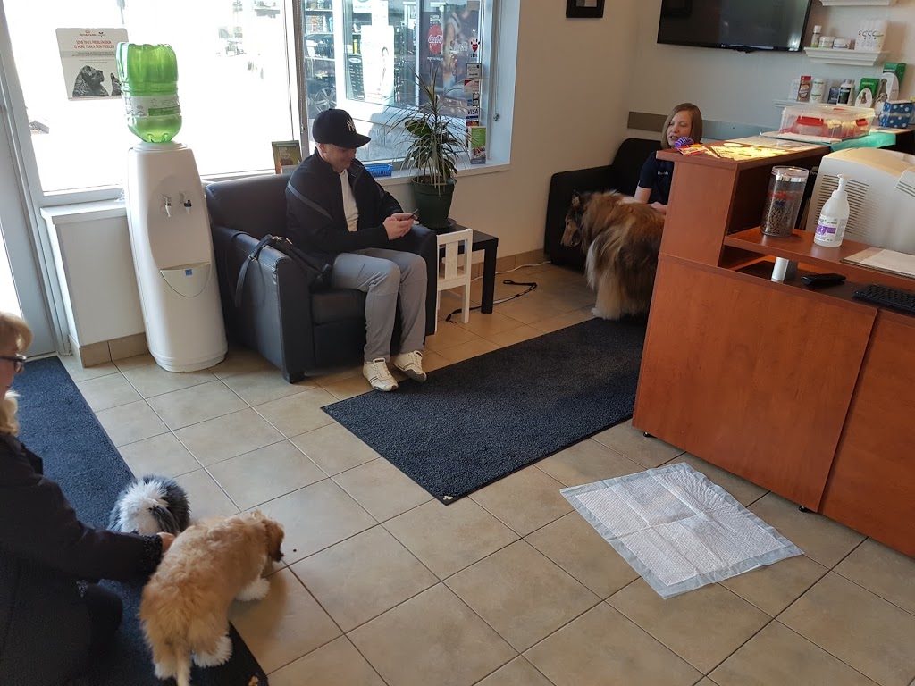 Carriage Crossing Animal Hospital | 105 Oak Park Dr Unit 3, Waterloo, ON N2K 0B3, Canada | Phone: (519) 725-1777