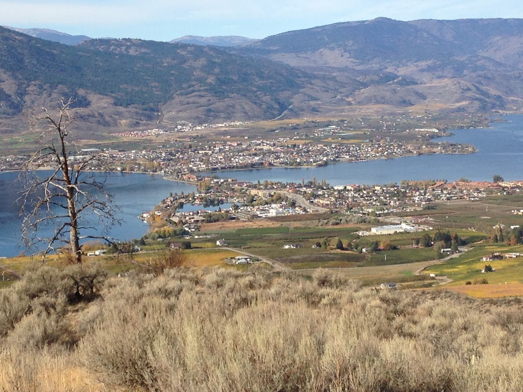 The Look Out | 130 Hallis Rd, Osoyoos, BC V0H 1V6, Canada | Phone: (250) 485-7082