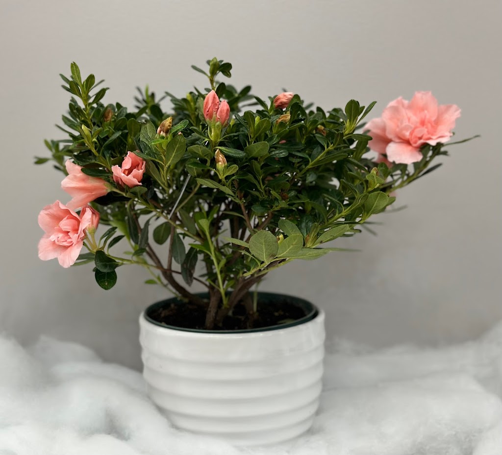 Scarlett & Rosie Floral Co | 4397 George St, Sydenham, ON K0H 2T0, Canada | Phone: (613) 583-1242