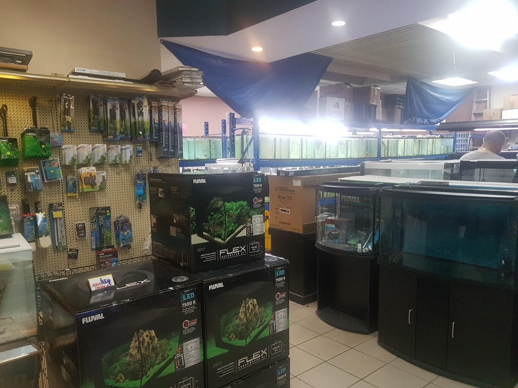 Aqua Tropicale | 159 Rue Lasalle, Saint-Constant, QC J5A 2G8, Canada | Phone: (450) 633-0775