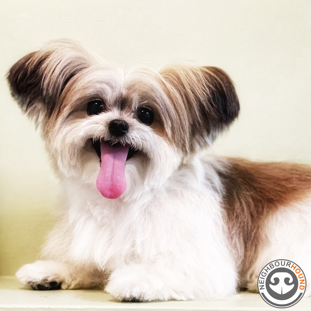NeighbourHound | 258 Main St N, Markham, ON L3P 1Y7, Canada | Phone: (905) 475-3711