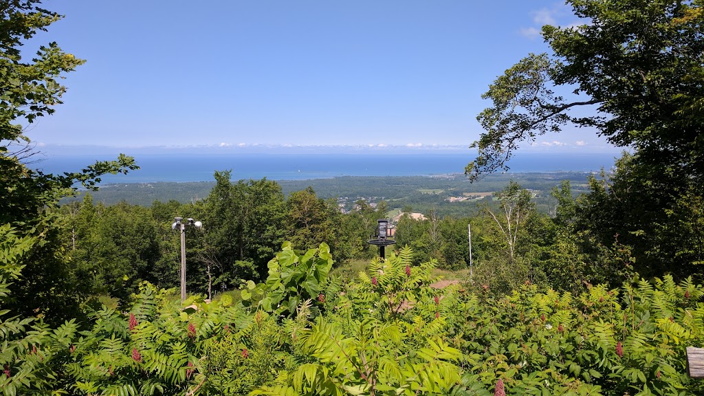 Scenic Caves Nature Adventures | 260 Scenic Caves Rd, The Blue Mountains, ON L9Y 0P2, Canada | Phone: (705) 446-0256